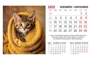 Настолна пирамидка ПП, 12-листова, 16х10 cm, котета