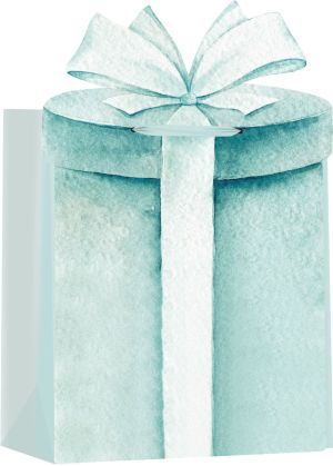 Подаръчна торбичка Deluxe Medium HB, 18x10x23 cm
