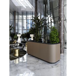 Прав модул за рецепция RFG Point, външен, ляв, 100 х 80 х 112.50 cm, ПДЧ