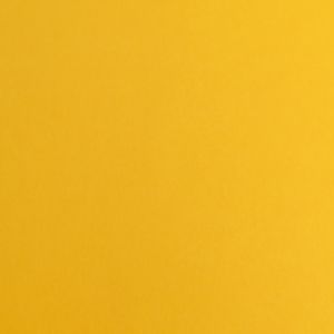 Fabriano Картон Elle Erre, 70 x 100 cm, 220 g/m2, № 103, охра