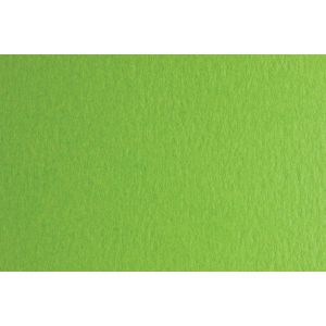 Fabriano Картон Colore, 50 x 70 cm, 140 g/m2, № 230, тревистозелен