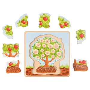Eduplay Пъзел Развитие на ябълково дърво, на слоеве, дървен