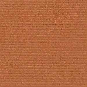 Fabriano Картон Elle Erre, 70 x 100 cm, 220 g/m2, № 119, светлокафяв