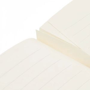 Paperblanks Тетрадка The adventures of Asterix, A4, широки редове, 40 листа