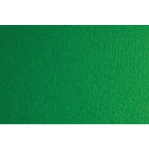 Fabriano Картон Colore, 70 x 100 cm, 140 g/m2, № 231, зелен